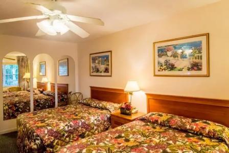 Shore Haven Resort Inn - 1