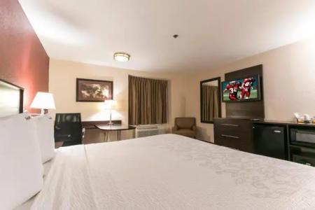 Red Roof Inn Plus+ Austin South - 49