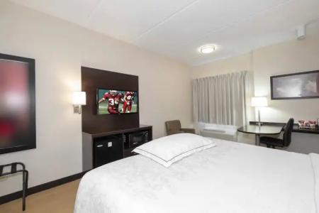 Red Roof Inn Plus+ – Southpoint - 57