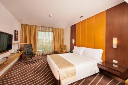 Holiday Inn Mumbai International Airport, An Ihg - 50