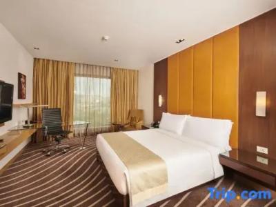 Holiday Inn Mumbai International Airport, An Ihg - 37