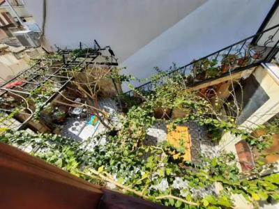 Ali Baba's House - 26