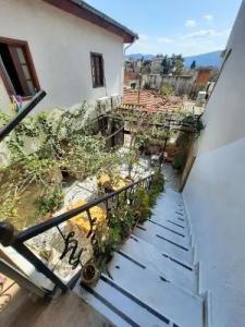 Ali Baba's House - 46