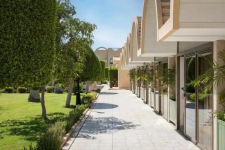 The Oasis Pyramids - 22