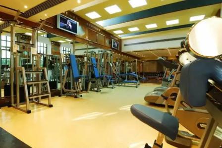 The Oasis Pyramids - 3