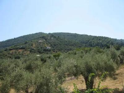 Prince Stafilos - 20