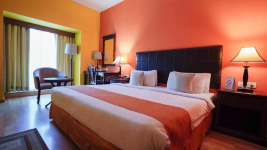 Mgm Mark Whitefield - 13