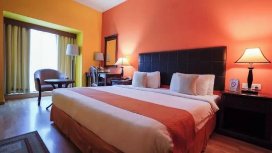 Mgm Mark Whitefield - 21