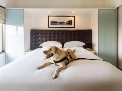 Grand Mercure Bangalore - An Accor Brand - 101