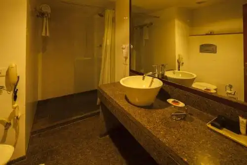 Vesta Maurya Palace - 103