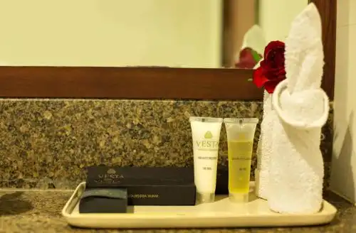 Vesta Maurya Palace - 102