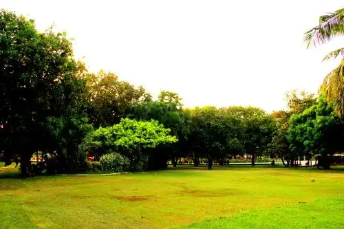 Vgp Golden Beach Resort - 100