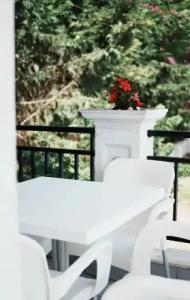 Flower Residence - 10