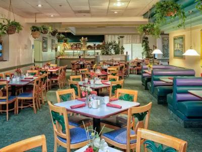 Seralago & Suites Main Gate East - 47