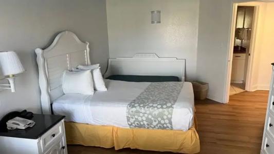 Seralago & Suites Main Gate East - 69