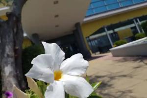 Best Western Hotel Class, Ламеция-Терме