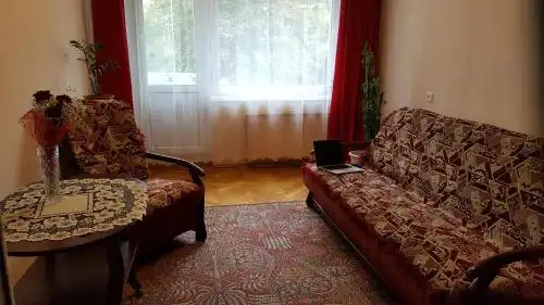 Cheap room in the center - 7