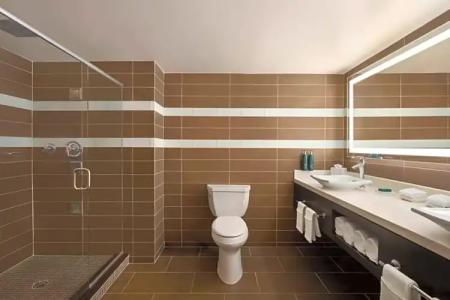 Hilton Downtown - 66