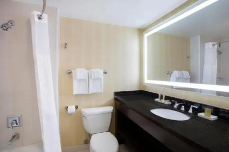 Hilton Downtown - 40