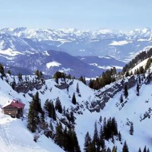 Dorfhaus Chalets - 9