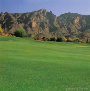 The Westin La Paloma Resort & Spa - 46