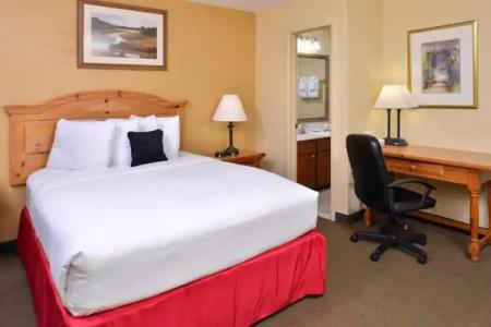 3 Palms Tucson North Foothills - 35