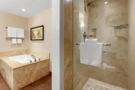 Omni Tucson National Resort - 56