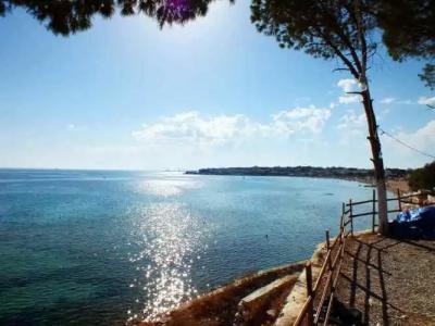 Tuntas Suites Altinkum - 3