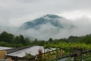 Гостиницы Гостиницы