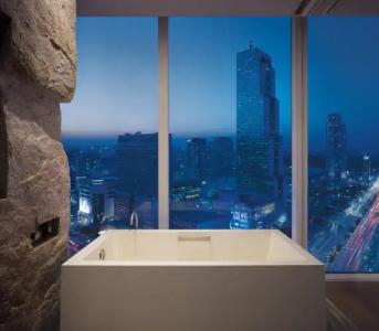 Park Hyatt Seoul - 16