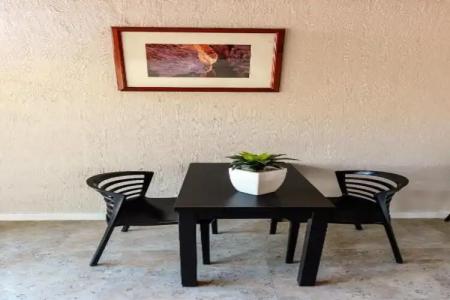 Desert Palms - 18