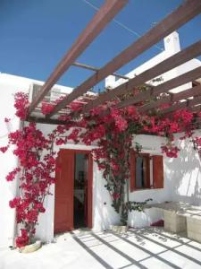 Villa Vasilis - 18