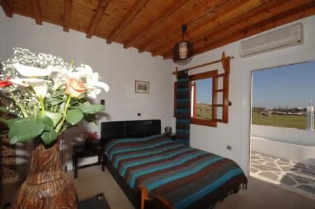 Villa Vasilis - 19
