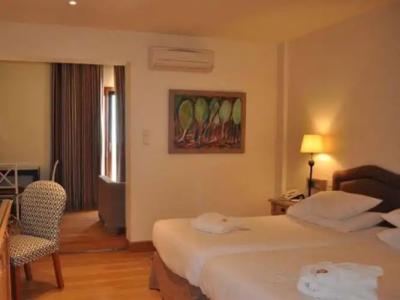 Santa Marina Arachova Resort & Spa - 35