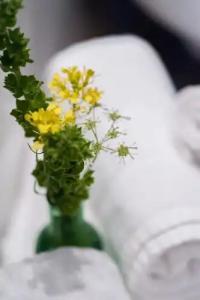 Perivoli Country & Retreat - 55