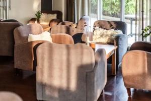 Hotel «Greenside Texel», Де Коог