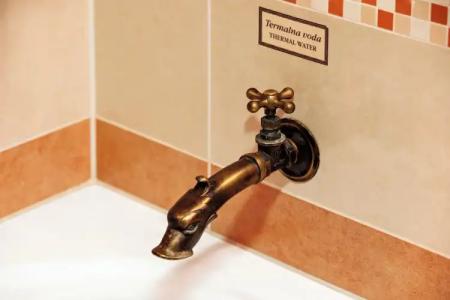 Grand Primus - Terme Ptuj - Savas & Resorts - 129