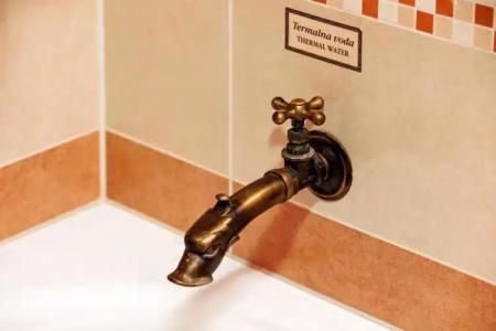 Grand Primus - Terme Ptuj - Savas & Resorts - 135