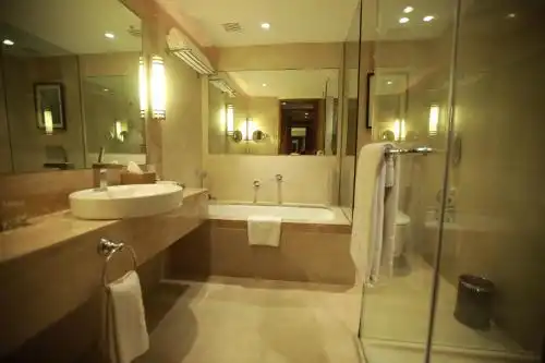 Taj Coromandel - 116