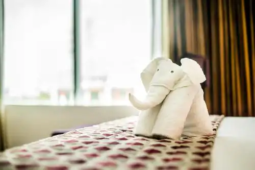 Clarion President - 24