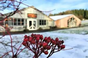 Solheimar Eco-Village, Лёйгарватн