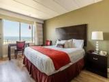 Roof Top King Room