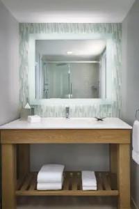 Walt Disney World Swan - 58