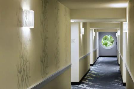 Walt Disney World Swan - 11