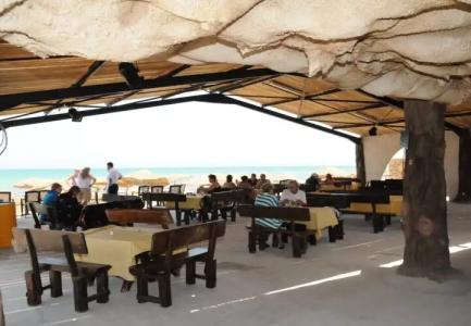 Cedriana - Все включено - 22