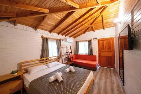 Koala Bungalows - 74