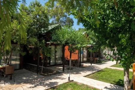 Koala Bungalows - 56