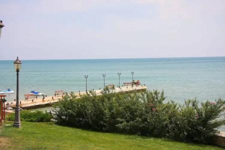 Garden Of Eden Pmg - 14