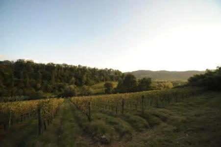 B&B Le Dimore Mezza Costa - 67