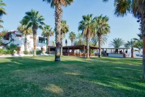 Selvi Beach Hotel, Гёльтюркбюкю